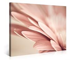 Picanova – Retro Pink Petals Flower 100x75cm – Premium Leinwanddruck – Kunstdruck Auf 2cm Holz-Keilrahmen Für Schlaf- Und Wohnzimmer