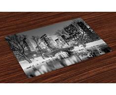 Lunarable Platzdeckchen 4er-Set Landschaftsbild New York City im Winter Central Park verschneite Gebäude Fotokunst abwaschbar Tischsets für Esszimmer, Küche, Tischdekoration, Grau und Grau