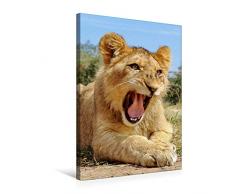 Premium Textil-Leinwand 50 x 75 cm Hoch-Format FAZINATION AFRIKA TIER PORTRAITS | Wandbild, HD-Bild auf Keilrahmen, Fertigbild auf hochwertigem Vlies, Leinwanddruck von Barbara Fraatz