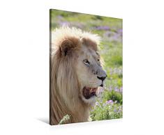 Premium Textil-Leinwand 60 x 90 cm Hoch-Format KATZEN PORTRAITS Weiße Löwen aus Afrika | Wandbild, HD-Bild auf Keilrahmen, Fertigbild auf hochwertigem Vlies, Leinwanddruck von N N