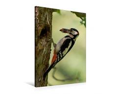 Calvendo Premium Textil-Leinwand 60 cm x 90 cm hoch, EIN Motiv aus dem Kalender Besucher im Garten - Vögel | Wandbild, Bild auf Keilrahmen, Fertigbild auf echter Leinwand, Leinwanddruck Tiere Tiere