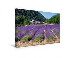 Calvendo Premium Textil-Leinwand 45 cm x 30 cm quer, Abtei von SÃ©nanque | Wandbild, Bild auf Keilrahmen, Fertigbild auf echter Leinwand, Leinwanddruck: Provence Orte Orte