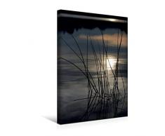 Calvendo Premium Textil-Leinwand 30 cm x 45 cm hoch, EIN Motiv aus dem Kalender Stille - Natur im Winterschlaf | Wandbild, Bild auf Keilrahmen, Fertigbild auf Gräser im Wasser Natur Natur