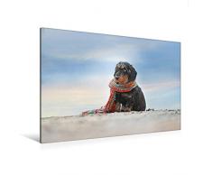 Premium Textil-Leinwand 120 x 80 cm Quer-Format Der Dackel | Wandbild, HD-Bild auf Keilrahmen, Fertigbild auf hochwertigem Vlies, Leinwanddruck von Anja Foto Grafia Fotografie