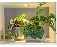 Ivyline Blumentopf, Keramik, Denim, 16 cm