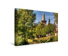 Calvendo Premium Textil-Leinwand 45 cm x 30 cm quer, Der Kunstzuckerhut | Wandbild, Bild auf Keilrahmen, Fertigbild auf echter Leinwand, Leinwanddruck Menschen Menschen