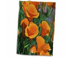 3dRose Handtücher Boulders and Cove at Sand Harbor State Park, Lake Tahoe, Nevada, USA, 15 x 22, Weiß