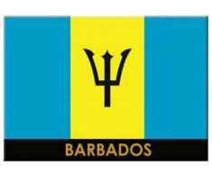 Barbados Flagge Karibik Kühlschrank Collector s Souvenir Magnet 6,3 x 8,9 cm