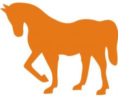 INDIGOS 4051095004967 Wandtattoo w068 Pferd / Reiten 120 x 94 cm, orange