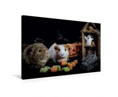 Calvendo Premium Textil-Leinwand 75 cm x 50 cm quer, Schweinoween | Wandbild, Bild auf Keilrahmen, Fertigbild auf echter Leinwand, Leinwanddruck: Halloween mit Meerschweinchen Tiere Tiere