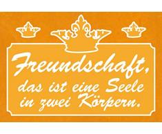 Schatzmix Spruch Freundschaft = 1 Seele in 2 KÃ¶rpern Metallschild 20x30 Deko Blechschild, Blech, Mehrfarbig, 20x30 cm