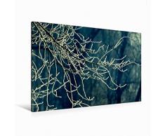Premium Textil-Leinwand 120 x 80 cm Quer-Format Zweige im Winter - Retro | Wandbild, HD-Bild auf Keilrahmen, Fertigbild auf hochwertigem Vlies, Leinwanddruck von Martina Cross