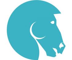 INDIGOS 4051095055396 Wandtattoo w615 Pferd Wandaufkleber in 3 Größen, 120 x 66 cm, türkis