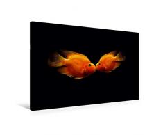 Calvendo Premium Textil-Leinwand 90 cm x 60 cm quer, EIN Kuss unter Wasser | Wandbild, Bild auf Keilrahmen, Fertigbild auf echter Leinwand, Leinwanddruck: Exotische Fische Tiere Tiere