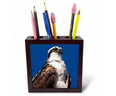 3dRose Ph_205397_1 Stifthalter für Fliesen, Motiv Fischreiher, 12,7 cm