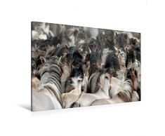 Premium Textil-Leinwand 120 cm x 80 cm quer, Dülmener Wildpferde - Gefährdete Nutztierrasse | Wandbild, Bild auf Keilrahmen, Fertigbild auf echter Leinwand, Leinwanddruck: Wilde Herde (CALVENDO Tiere);CALVENDO Tiere