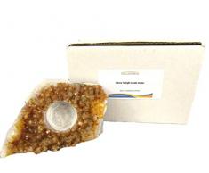 CircuitOffice Citrin Teelichthalter