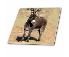 3dRose CT 1236 _ 3 Miniatur Esel Keramik Fliesen, 20,3 cm