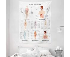 Ambesonne Wandteppich, menschliche Anatomie, komplettes Diagramm, verschiedene Körperstrukturen, Zellen, Lebens-Illustration, Wandbehang für Schlafzimmer, Wohnzimmer, Wohnheim, 152,4 x 203,2 cm, Weiß