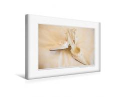 Calvendo Premium Textil-Leinwand 45 cm x 30 cm quer, EIN Motiv aus dem Kalender Emotionale Momente: Unser Hochzeitsjahr. | Wandbild, Bild auf Keilrahmen. Leinwand, Leinwanddruck Menschen Menschen