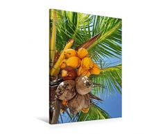 Premium Textil-Leinwand 60 x 90 cm Hoch-Format KokosnÃ¼sse an der Palme | Wandbild, HD-Bild auf Keilrahmen, Fertigbild auf hochwertigem Vlies, Leinwanddruck von Frank Hornecker