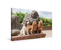 Premium Textil-Leinwand 75 x 50 cm Quer-Format drei Cocker sitzen vor einer Steinfigur | Wandbild, HD-Bild auf Keilrahmen, Fertigbild auf hochwertigem Vlies, Leinwanddruck von Fotodesign Verena Scholze