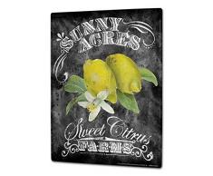 YFULL Blechschild XXL Sprüche Garten Vögel Vogelhaus 12inch*16inch Tst1502