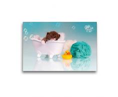 Premium Textil-Leinwand 45 x 30 cm Quer-Format Relax - Kitten in der Badewanne | Wandbild, HD-Bild auf Keilrahmen, Fertigbild auf hochwertigem Vlies, Leinwanddruck von Wabi Sabi Fotografie by Janina Bürger