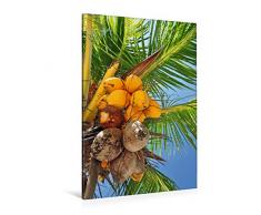 Premium Textil-Leinwand 80 x 120 cm Hoch-Format KokosnÃ¼sse an der Palme | Wandbild, HD-Bild auf Keilrahmen, Fertigbild auf hochwertigem Vlies, Leinwanddruck von Frank Hornecker