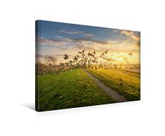 Premium Textil-Leinwand 45 x 30 cm Quer-Format Wildgänse am Deich in Harlesiel | Wandbild, HD-Bild auf Keilrahmen, Fertigbild auf hochwertigem Vlies, Leinwanddruck von Rainer Ganske Fotografie