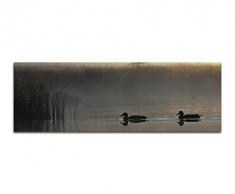 Panoramabild auf Leinwand und Keilrahmen 150x50cm Wasser Enten Schilf Dunst Nebel DÃ¤mmerung