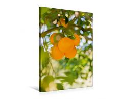 Premium Textil-Leinwand 50 x 75 cm Hoch-Format Früchte im Garten | Wandbild, HD-Bild auf Keilrahmen, Fertigbild auf hochwertigem Vlies, Leinwanddruck von Carmen Steinerund Matthias Konrad