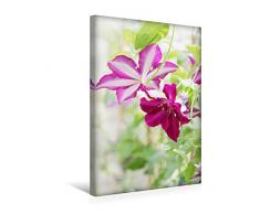 Premium Textil-Leinwand 30 x 45 cm Hoch-Format Clematis Hybride Stasik | Wandbild, HD-Bild auf Keilrahmen, Fertigbild auf hochwertigem Vlies, Leinwanddruck von Gisela Kruse