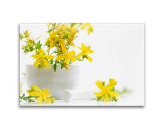 Premium Textil-Leinwand 120 x 80 cm Quer-Format Hypericum perforatum; Johanniskraut | Wandbild, HD-Bild auf Keilrahmen, Fertigbild auf hochwertigem Vlies, Leinwanddruck von Avianaarts Design Fotografie by Tanja Riedel