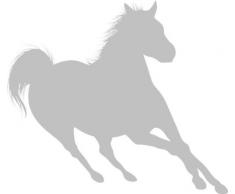 INDIGOS 4051095056393 Wandtattoo w617 Pferd Wandaufkleber in 3 Größen, 120 x 66 cm, silber