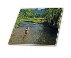 3dRose CT 91948 _ 4 Fly Angeln, Nine Mile Creek Near Huson, Montana US27 cha2074 Chuck Haney Keramik Fliesen, 30,5 cm