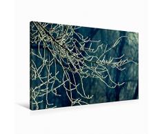 Premium Textil-Leinwand 90 x 60 cm Quer-Format Zweige im Winter - Retro | Wandbild, HD-Bild auf Keilrahmen, Fertigbild auf hochwertigem Vlies, Leinwanddruck von Martina Cross