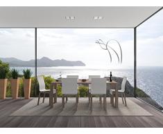 INDIGOS 4051095833185 Wandtattoo / Wandsticker - d275 sÃ¼Ães Kamel Afrika WÃ¼ste Lama Tribal, Vinyl, glasdekor, 120 x 112 x 1 cm