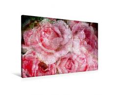 Premium Textil-Leinwand 90 x 60 cm Quer-Format Sinnlichkeit - Rosen Romantik | Wandbild, HD-Bild auf Keilrahmen, Fertigbild auf hochwertigem Vlies, Leinwanddruck von Martina Cross