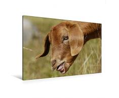 Premium Textil-Leinwand 120 x 80 cm Quer-Format Frisches Grün | Wandbild, HD-Bild auf Keilrahmen, Fertigbild auf hochwertigem Vlies, Leinwanddruck von Bea Müller Fotografie