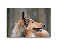 Premium Textil-Leinwand 120 x 80 cm Quer-Format Highland Hawk Fame immer aufmerksam | Wandbild, HD-Bild auf Keilrahmen, Fertigbild auf hochwertigem Vlies, Leinwanddruck von Andreas und Marina Zimmermann Fotografie GbR