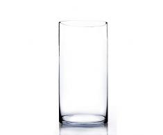 WGV Glasvase, Zylinderform, 18 x 41 cm, transparent