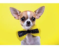 AG Design FTM 0860 Kleiner Hund Papier Fototapete, mehrfarbig, 160 x 115 cm