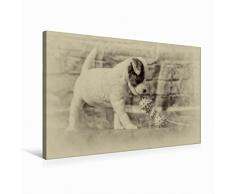 Premium Textil-Leinwand 75 x 50 cm Quer-Format Parson Jack Russell Welpe mit Spielzeug | Wandbild, HD-Bild auf Keilrahmen, Fertigbild auf hochwertigem Vlies, Leinwanddruck von Sonja TeÃen