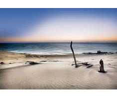 Eurographics Reach for The Sun Tapeten, Mehrfarbig, 254Â x 366Â cm