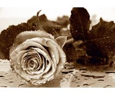 AG Design FTS 0086 Rose, Papier Fototapete - 360x254 cm - 4 teile, Papier, multicolor, 0,1 x 360 x 254 cm