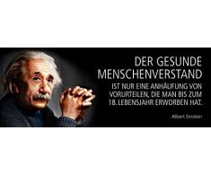 Schatzmix Blechschild Spruch Der gesunde Menschenverstand ist nur eine AnhÃ¤ufung von Vorurteilen, die Man bis zum 18. Lebensjahr erworben hat. -Einstein-Metallschild 27x10 cm Wanddeko tin Sign