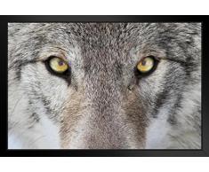 Close up Grau Wolf Augen Hochformat Foto 20x14 inches Framed Poster