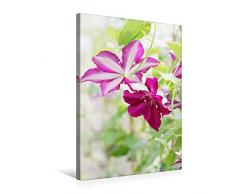 Premium Textil-Leinwand 50 x 75 cm Hoch-Format Clematis Hybride Stasik | Wandbild, HD-Bild auf Keilrahmen, Fertigbild auf hochwertigem Vlies, Leinwanddruck von Gisela Kruse