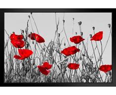 Foto, Rote Mohnblumen auf Wiese, Querformat, Schwarz/Weiß 20x14 inches Framed Poster